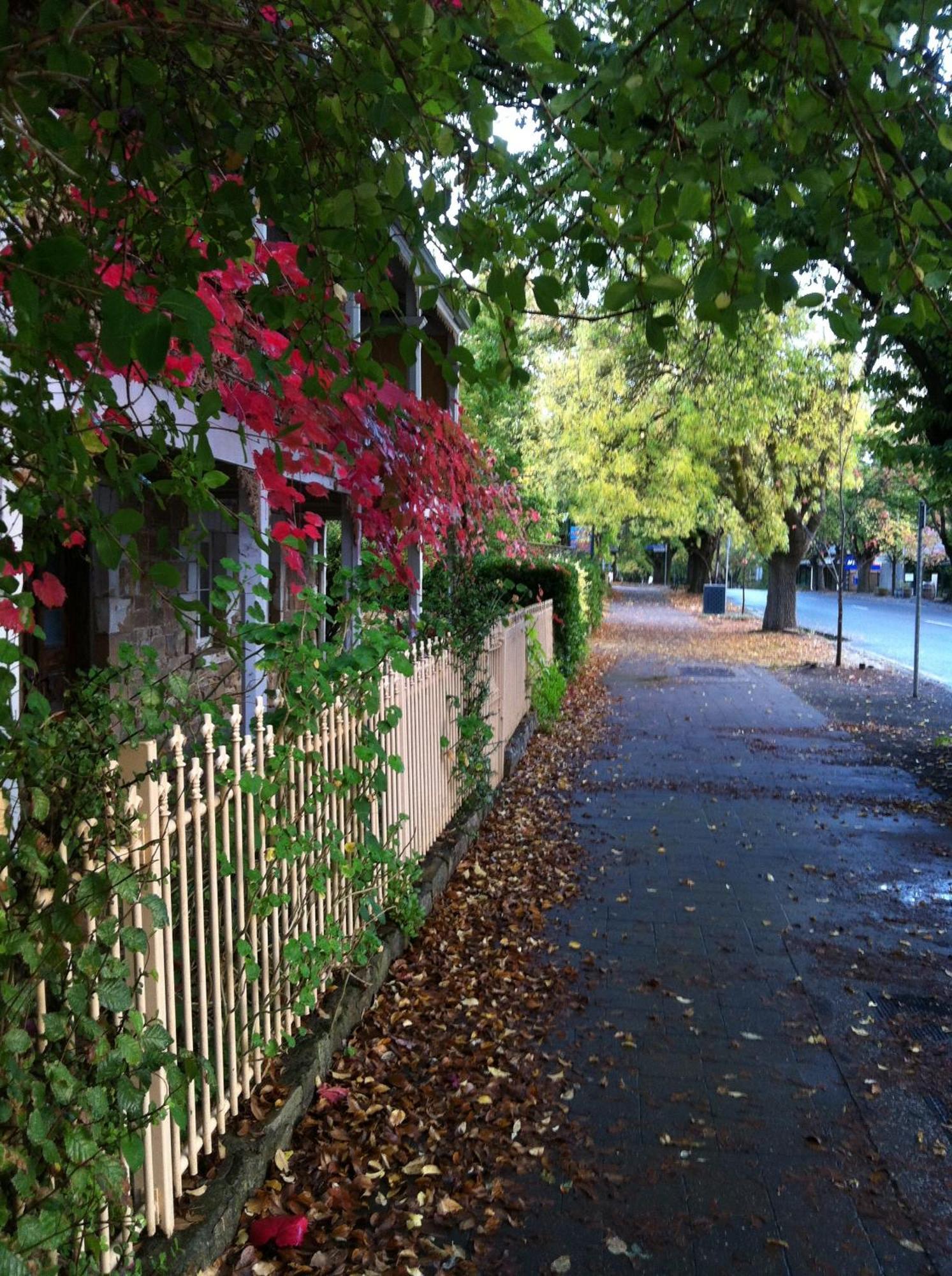Bed and Breakfast Amble At Hahndorf Zewnętrze zdjęcie