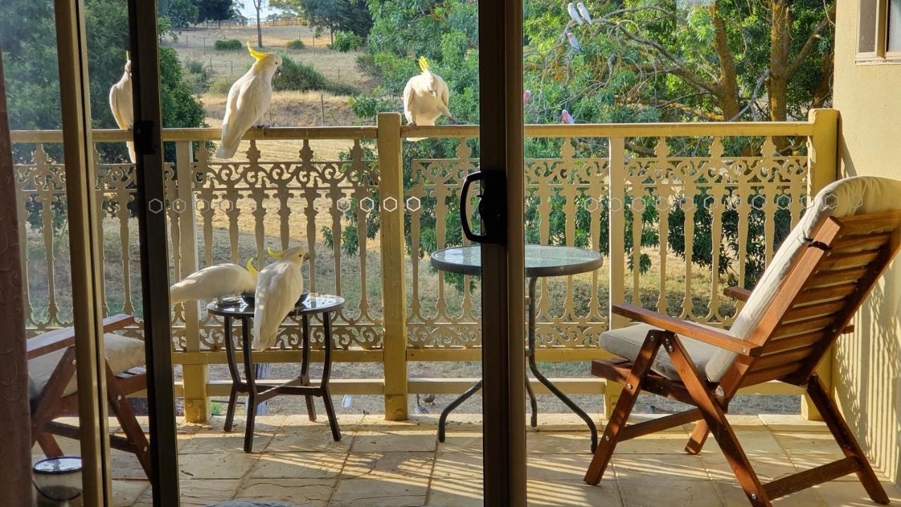 Bed and Breakfast Amble At Hahndorf Zewnętrze zdjęcie