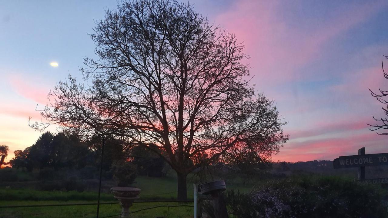 Bed and Breakfast Amble At Hahndorf Zewnętrze zdjęcie